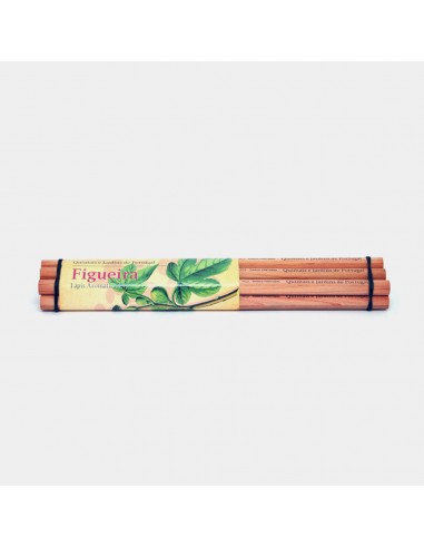 Comprar Emb. 6 Lápis Aromatizados | Lápis | Viarco