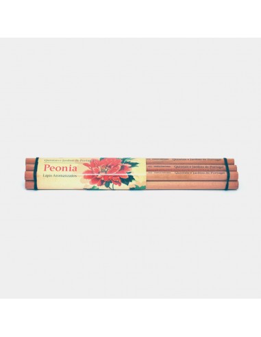 Comprar Emb. 6 Lápis Aromatizados | Lápis | Viarco