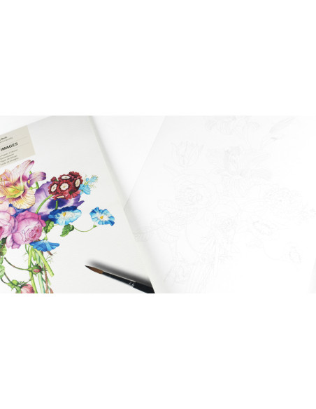 Comprar Livro de Colorir Pepin Floral Images | Livros pintura | The Pepin Press