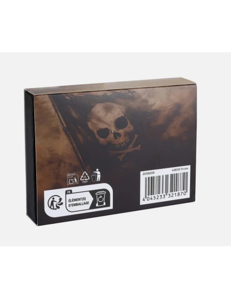 Zippo Pirate Limited Edition Collectible 2008208