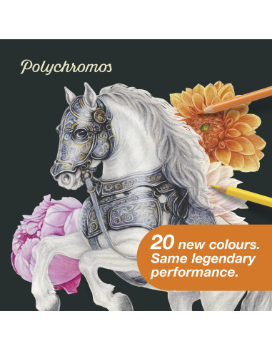 Lápis Faber-Castell Polychromos C/20 110020