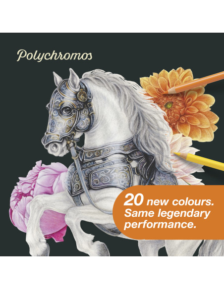 Lápis Faber-Castell Polychromos C/20 110020