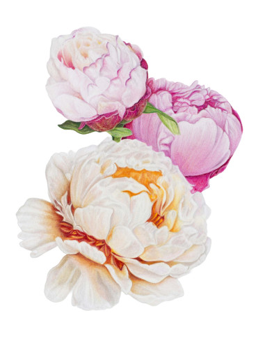 Lápis Faber-Castell Polychromos C/140 110014