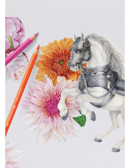 Lápis Faber-Castell Polychromos C/140 110014